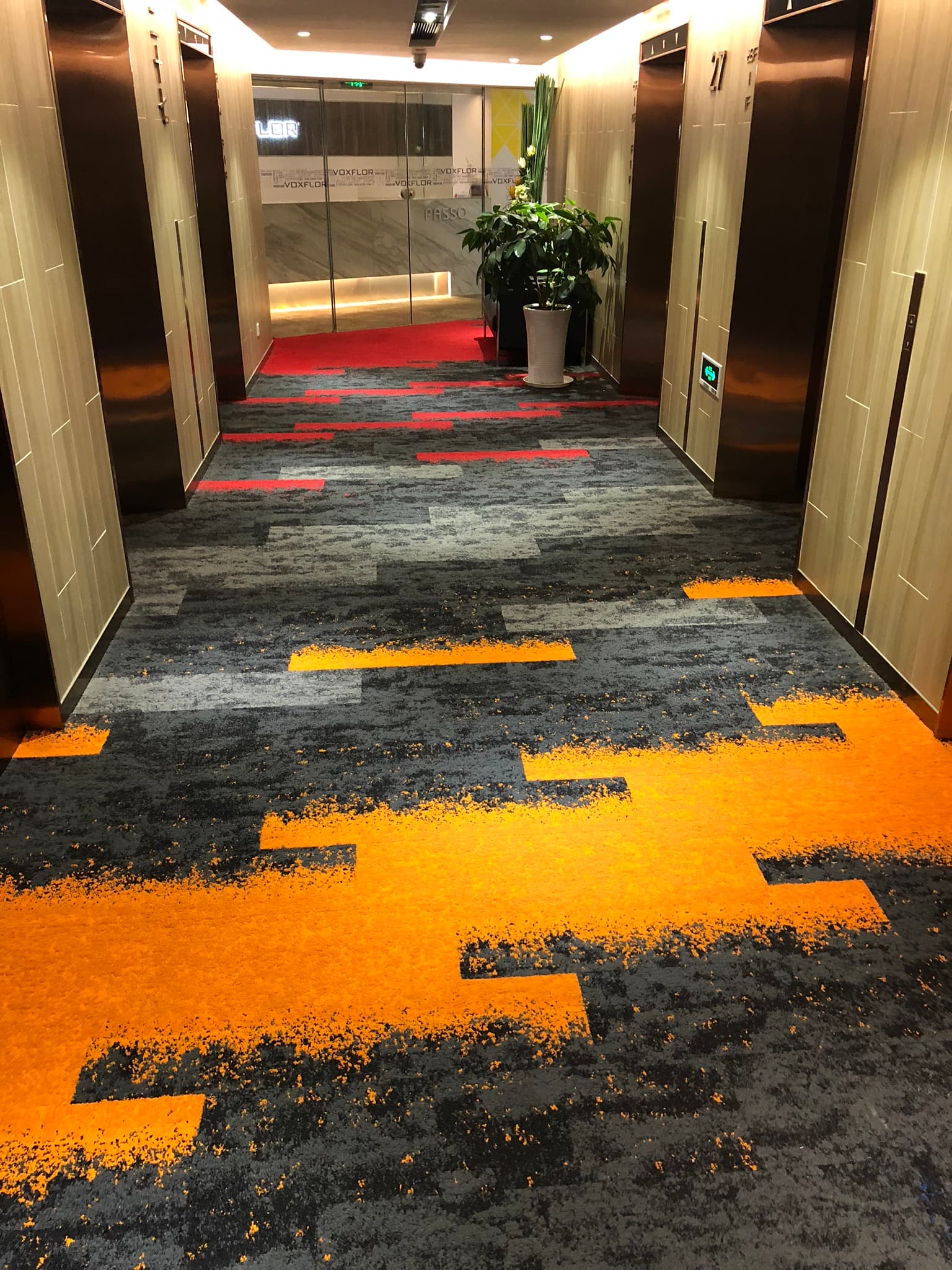 Carpet Installation service